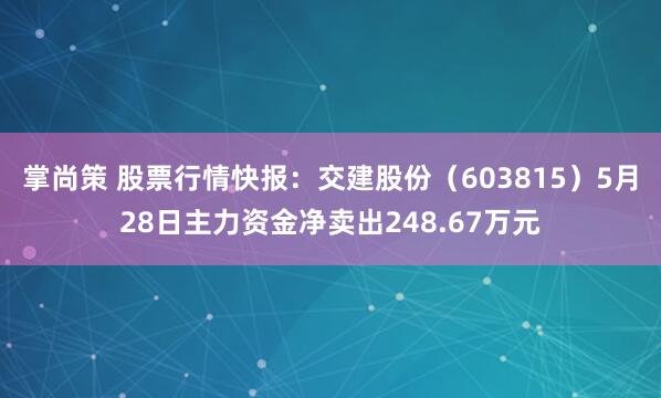 掌尚策 股票行情快报：交建股份（603815）5月28日主力资金净卖出248.67万元