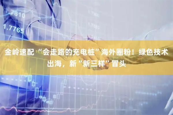 金岭速配 “会走路的充电桩”海外圈粉！绿色技术出海，新“新三样”冒头