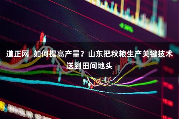 道正网  如何提高产量？山东把秋粮生产关键技术送到田间地头
