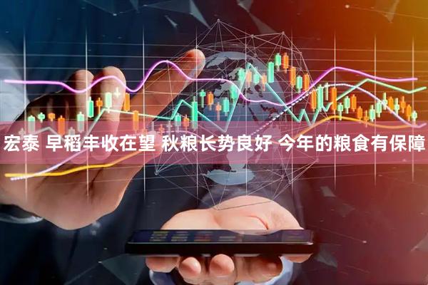 宏泰 早稻丰收在望 秋粮长势良好 今年的粮食有保障