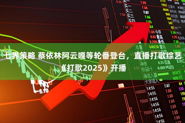 七界策略 蔡依林阿云嘎等轮番登台，直播打歌综艺《打歌2025》开播