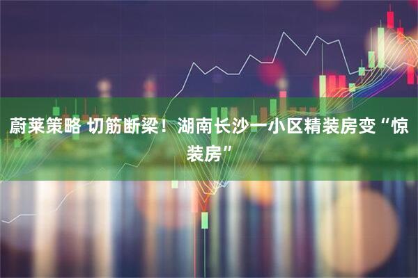 蔚莱策略 切筋断梁！湖南长沙一小区精装房变“惊装房”