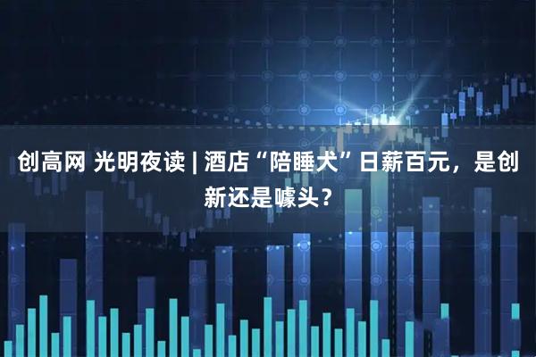 创高网 光明夜读 | 酒店“陪睡犬”日薪百元，是创新还是噱头？