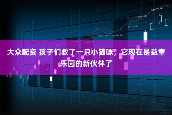 大众配资 孩子们救了一只小猫咪，它现在是益童乐园的新伙伴了