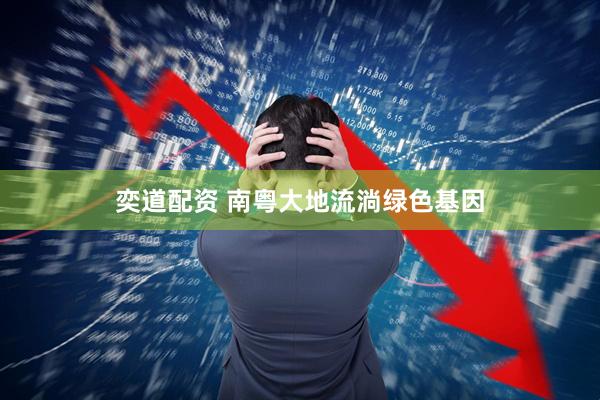 奕道配资 南粤大地流淌绿色基因