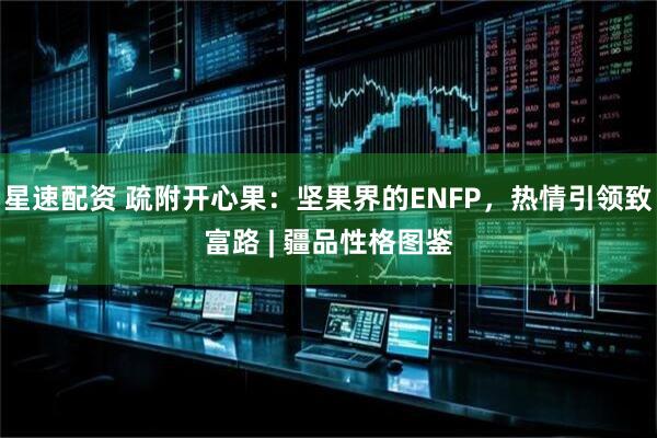 星速配资 疏附开心果：坚果界的ENFP，热情引领致富路 | 疆品性格图鉴