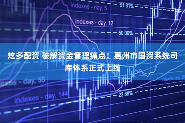 炫多配资 破解资金管理痛点！惠州市国资系统司库体系正式上线