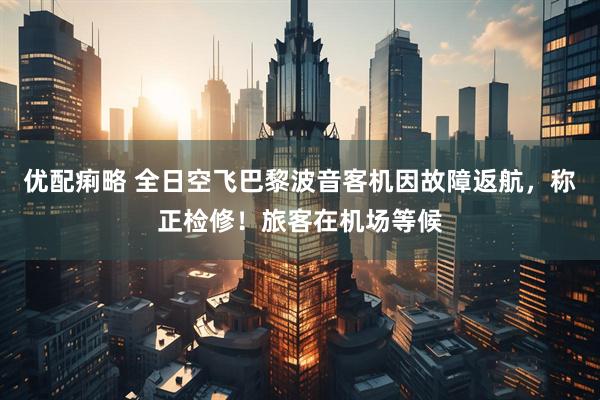 优配痢略 全日空飞巴黎波音客机因故障返航，称正检修！旅客在机场等候