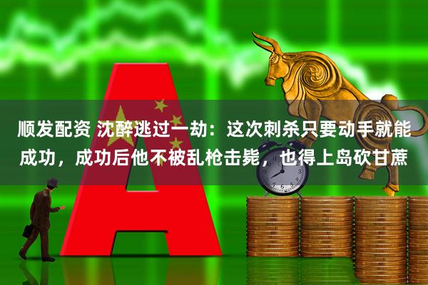 顺发配资 沈醉逃过一劫：这次刺杀只要动手就能成功，成功后他不被乱枪击毙，也得上岛砍甘蔗