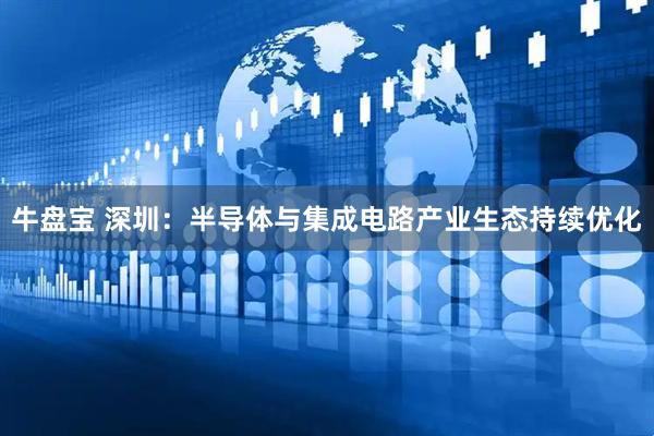 牛盘宝 深圳：半导体与集成电路产业生态持续优化