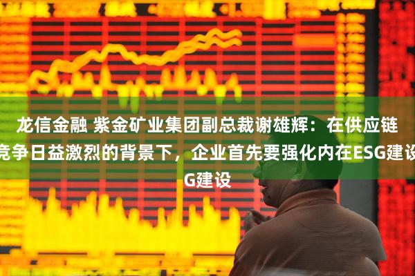 龙信金融 紫金矿业集团副总裁谢雄辉：在供应链竞争日益激烈的背景下，企业首先要强化内在ESG建设