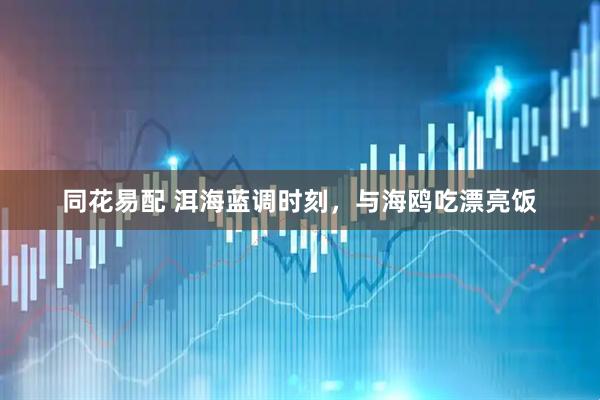 同花易配 洱海蓝调时刻，与海鸥吃漂亮饭